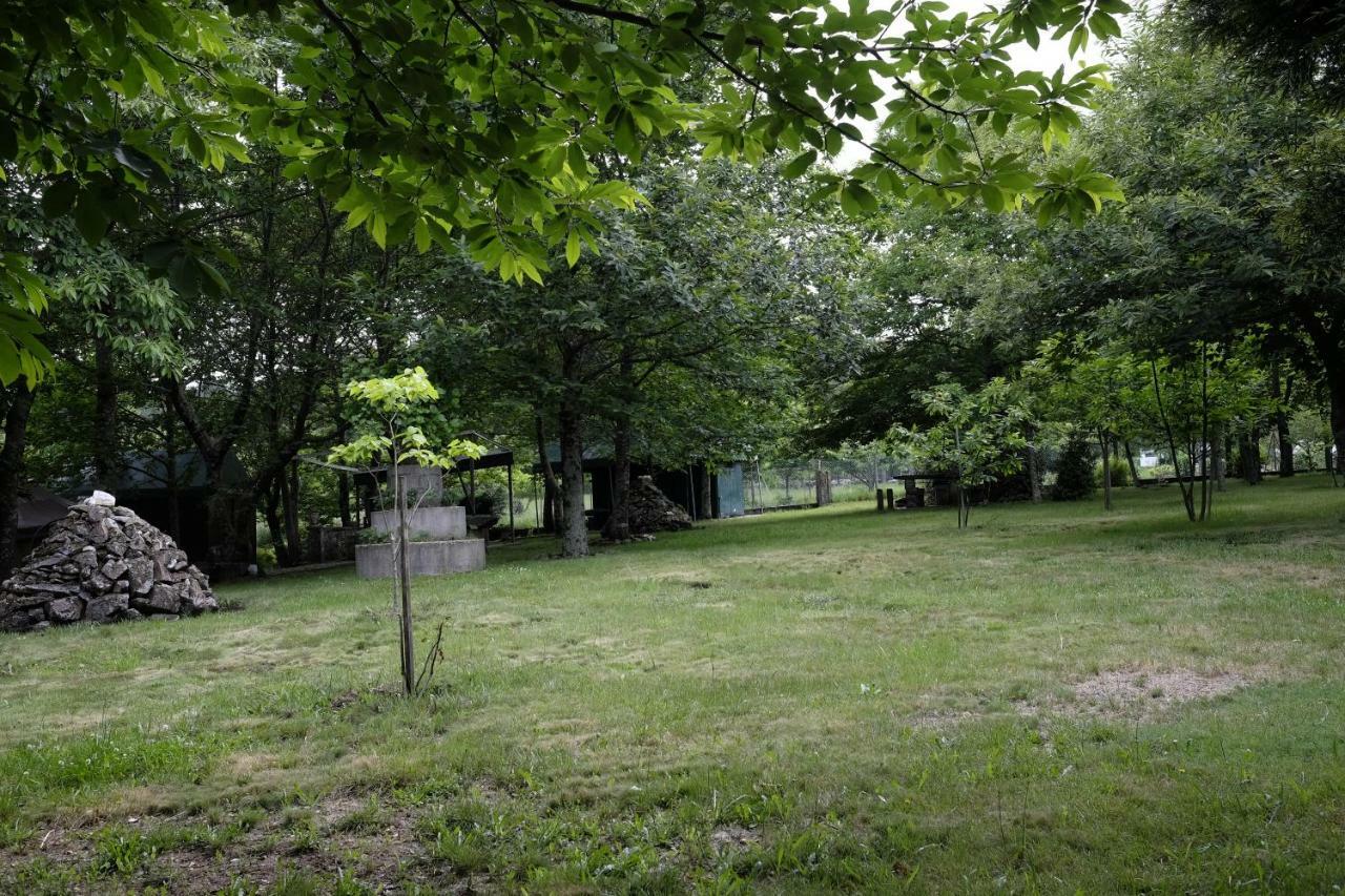 발르 드 캄브라 Casa Do Aido De Cima 빌라 외부 사진